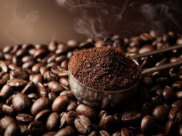 Las mejores marcas de café en grano que puedes comprar en México Las mejores marcas de café en grano que puedes comprar en México