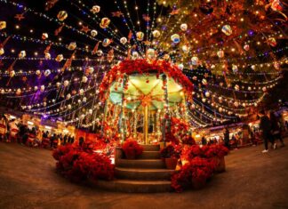 Navidalia Horarios, precios y atractivos Navidalia Horarios precios y atractivos