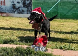 Perritos del Metro CDMX llevan tu carta a los Reyes Magos