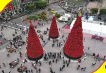 Verbena Navideña en Zócalo CDMX 2024 Verbena Navideña en Zócalo CDMX 2024