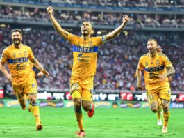 Invitan a los aficionados unirse al festejo de los 65 años de Club Tigres 65 años tigres aficionados