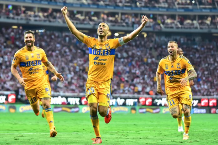 65 años tigres aficionados