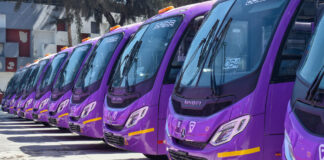 Beca de Transporte 2025; ¿cómo registrarse en CDMX? Beca de Transporte 2025 cómo registrarse en CDMX