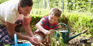 Cómo enseñar a los hijos el valor de la sostenibilidad Cómo enseñar a los hijos el valor de la sostenibilidad