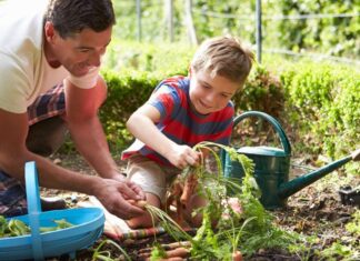 Cómo enseñar a los hijos el valor de la sostenibilidad Cómo enseñar a los hijos el valor de la sostenibilidad