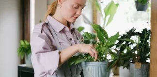 7 cosas que debes saber sobre el cuidado de las plantas