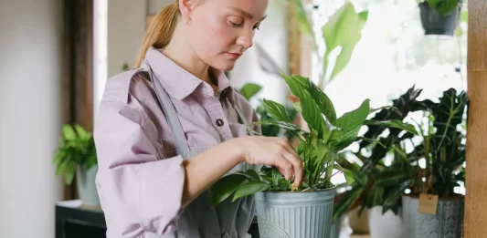 7 cosas que debes saber sobre el cuidado de las plantas