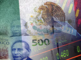 El PIB de México se contrajo en el 4T del 2024 El PIB de México se contrajo en el 4T del 2024