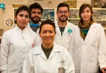 Investigadora del IPN logra eliminar el VPH al 100%: un avance revolucionario en la sal Investigadora del IPN logra eliminar el VPH al 100% un avance revolucionario en la sal