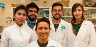 Investigadora del IPN logra eliminar el VPH al 100%: un avance revolucionario en la sal Investigadora del IPN logra eliminar el VPH al 100% un avance revolucionario en la sal