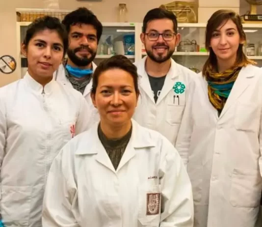 Investigadora del IPN logra eliminar el VPH al 100%: un avance revolucionario en la sal Investigadora del IPN logra eliminar el VPH al 100% un avance revolucionario en la sal
