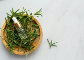 Por Qué el Té de Romero Ayuda a Mejorar la Memoria y la Circulación Sanguínea Por Qué el Té de Romero Ayuda a Mejorar la Memoria y la Circulación Sanguínea