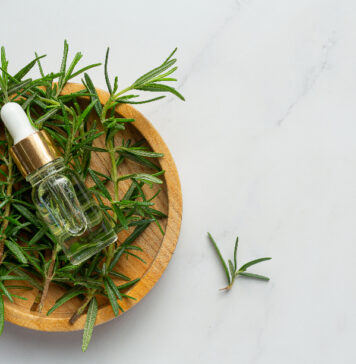 Por Qué el Té de Romero Ayuda a Mejorar la Memoria y la Circulación Sanguínea Por Qué el Té de Romero Ayuda a Mejorar la Memoria y la Circulación Sanguínea