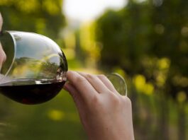 El consumo de vino en México vive un auge consumo de vino en méxico