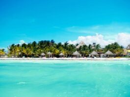 Holbox y el Tour de las 3 Islas: Aventura, naturaleza y sabores únicos
