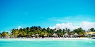 Holbox y el Tour de las 3 Islas: Aventura, naturaleza y sabores únicos