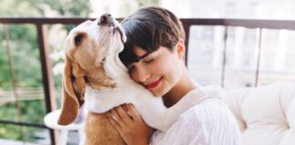 Cómo Ayudar a tu Perro a Superar la Ansiedad y la Depresión Cómo Ayudar a tu Perro a Superar la Ansiedad y la Depresión