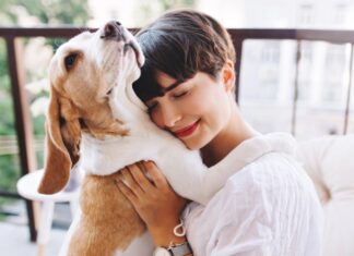 Cómo Ayudar a tu Perro a Superar la Ansiedad y la Depresión Cómo Ayudar a tu Perro a Superar la Ansiedad y la Depresión