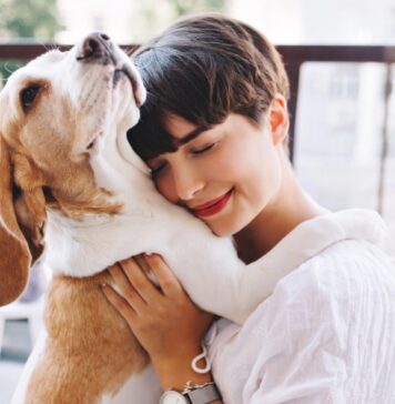 Cómo Ayudar a tu Perro a Superar la Ansiedad y la Depresión Cómo Ayudar a tu Perro a Superar la Ansiedad y la Depresión