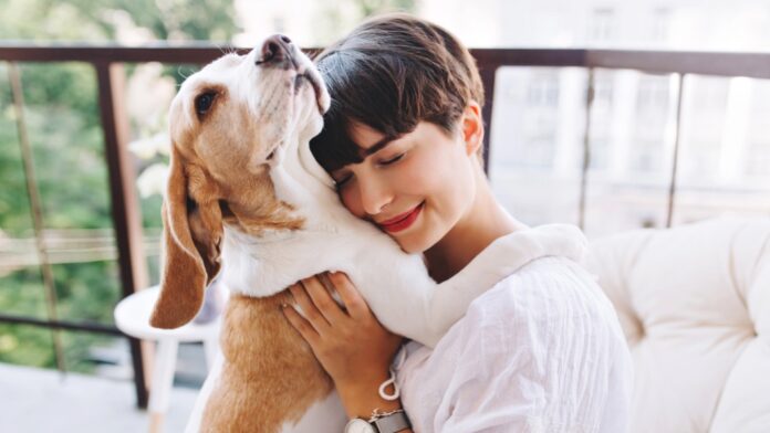 Cómo Ayudar a tu Perro a Superar la Ansiedad y la Depresión