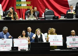 Diputados aprueban reforma para prohibir maíz transgénico Diputados aprueban reforma para prohibir maíz transgénico