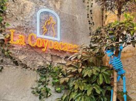 La Coyoacana, una de las cantinas favoritas de Coyoacán La Coyoacana una de las cantinas favoritas de Coyoacán