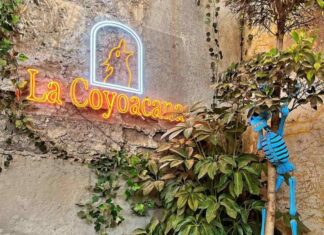 La Coyoacana, una de las cantinas favoritas de Coyoacán La Coyoacana una de las cantinas favoritas de Coyoacán