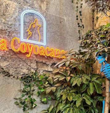 La Coyoacana, una de las cantinas favoritas de Coyoacán La Coyoacana una de las cantinas favoritas de Coyoacán