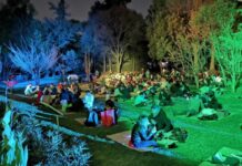 Picnic nocturno de San Valentín en Chapultepec Picnic nocturno de San Valentín en Chapultepec