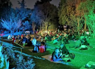 Picnic nocturno de San Valentín en Chapultepec Picnic nocturno de San Valentín en Chapultepec