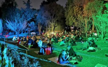 Picnic nocturno de San Valentín en Chapultepec Picnic nocturno de San Valentín en Chapultepec