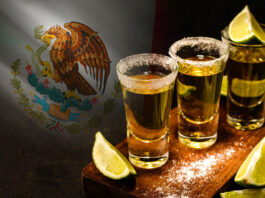 Preocupación en la industria tequilera ante posible arancel del 25% en EE.UU. Preocupación en la industria tequilera ante posible arancel del 25% en EE.UU.