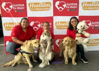 Purina® y CENATAC Expanden su Programa de Terapia Asistida con Perros en Hospitales Purina® y CENATAC Expanden su Programa de Terapia Asistida con Perros en Hospitales