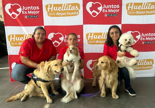 Purina® y CENATAC Expanden su Programa de Terapia Asistida con Perros en Hospitales