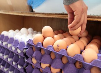 ¡Se dispara el precio del huevo en México en un 45%! Se dispara el precio del huevo en México en un 45