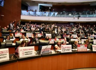 Senado aprueba reforma contra nepotismo Senado aprueba reforma contra nepotismo