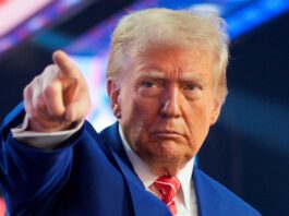 Trudeau acuerda con Trump nombrar a cárteles como terroristas Trudeau acuerda con Trump nombrar a cárteles como terroristas