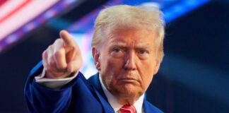 Trudeau acuerda con Trump nombrar a cárteles como terroristas Trudeau acuerda con Trump nombrar a cárteles como terroristas