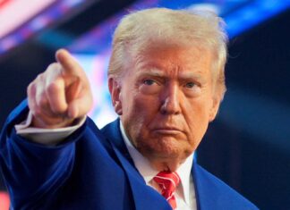 Trudeau acuerda con Trump nombrar a cárteles como terroristas Trudeau acuerda con Trump nombrar a cárteles como terroristas