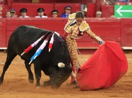 CDMX Aprueba la Prohibición de Corridas de Toros con Violencia CDMX Aprueba la Prohibición de Corridas de Toros con Violencia