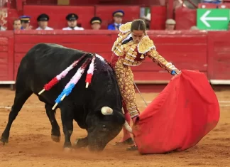 CDMX Aprueba la Prohibición de Corridas de Toros con Violencia CDMX Aprueba la Prohibición de Corridas de Toros con Violencia