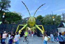 Chapultepec presenta festival gratis por primavera Chapultepec presenta festival gratis por primavera