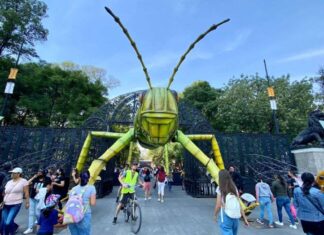 Chapultepec presenta festival gratis por primavera Chapultepec presenta festival gratis por primavera