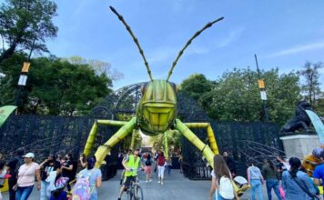 Chapultepec presenta festival gratis por primavera Chapultepec presenta festival gratis por primavera