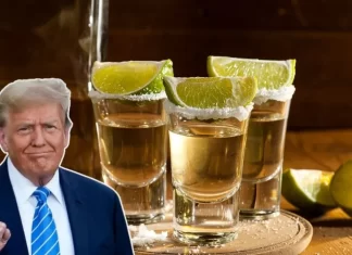 Hay compras de pánico de Tequila por aranceles de Trump en EU Hay compras de pánico de Tequila por aranceles de Trump en EU