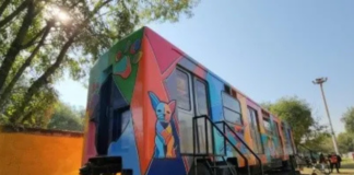 Metro de la CDMX transforma vagón en oficina para rescatar lomitos Metro de la CDMX transforma vagón en oficina para rescatar lomitos