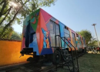 Metro de la CDMX transforma vagón en oficina para rescatar lomitos Metro de la CDMX transforma vagón en oficina para rescatar lomitos