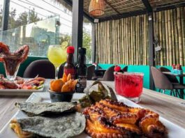 Restaurantes para comer pescados y mariscos en CDMX Restaurantes para comer pescados y mariscos en CDMX