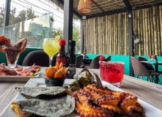 Restaurantes para comer pescados y mariscos en CDMX Restaurantes para comer pescados y mariscos en CDMX