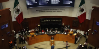 Senado aprueba apoyo económico para jóvenes desempleados Senado aprueba apoyo económico para jóvenes desempleados